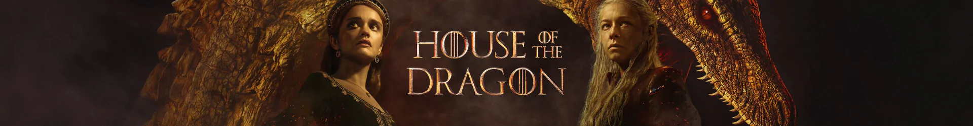 House of the Dragon wycieraczki banner