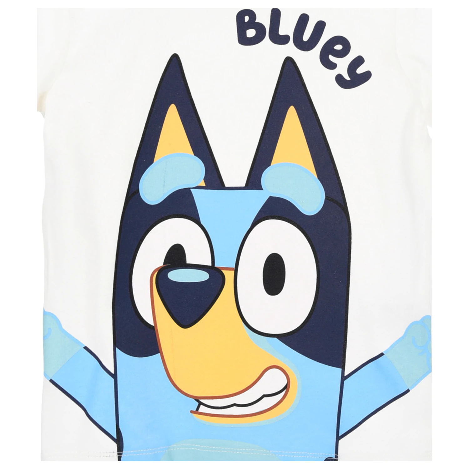 Bluey Biały Dziecięcy Krótki T-Shirt, Top zdjęcie produktu