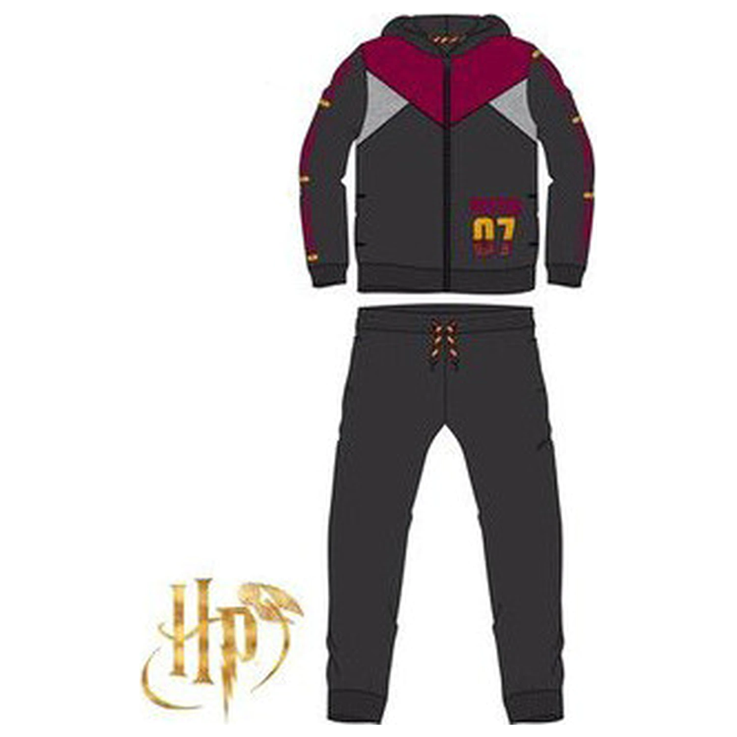 Harry Potter Quidditch Szary dziecięcy dres, zestaw do joggingu zdjęcie produktu