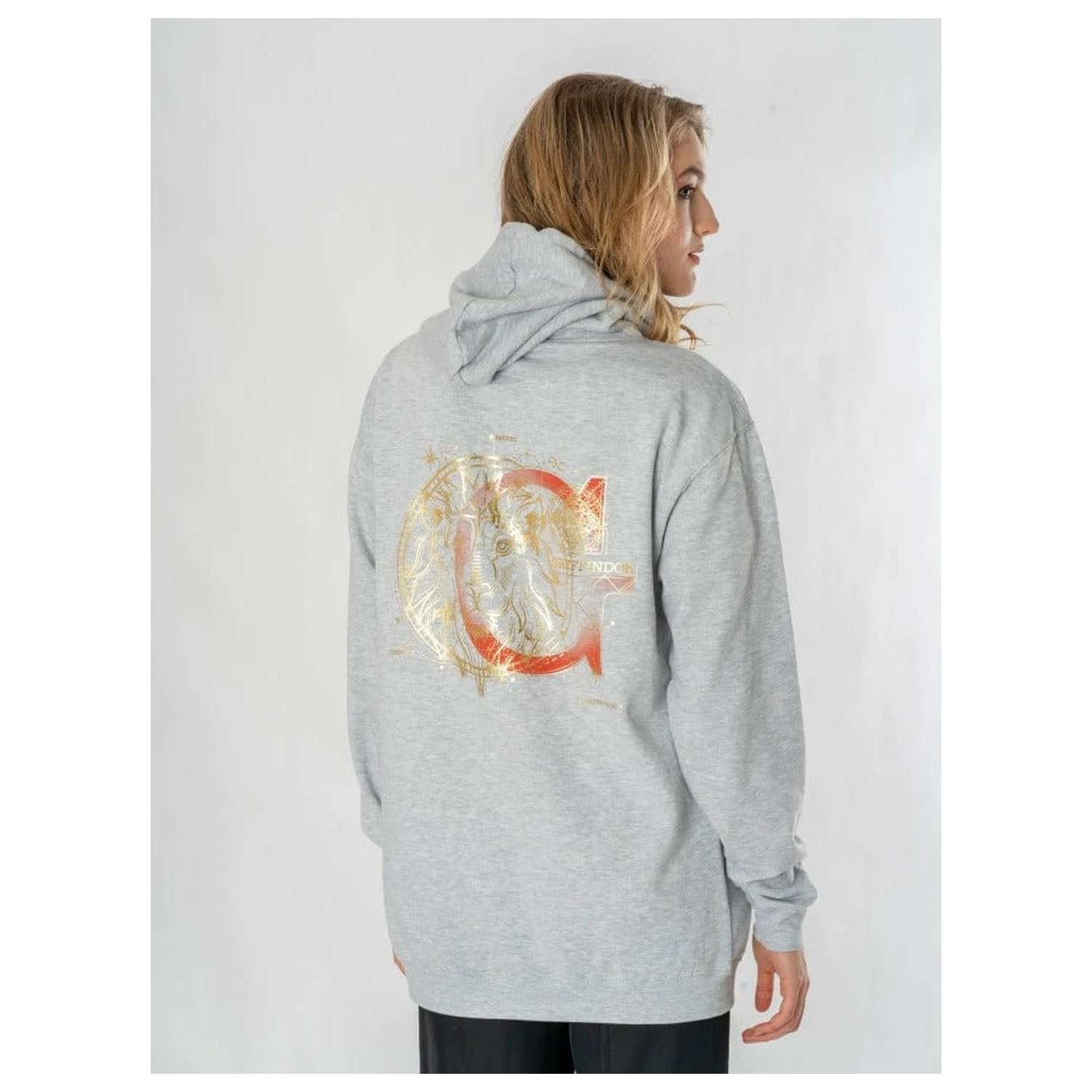 Harry Potter Hooded Sweater Gryffindor Zodiac zdjęcie produktu