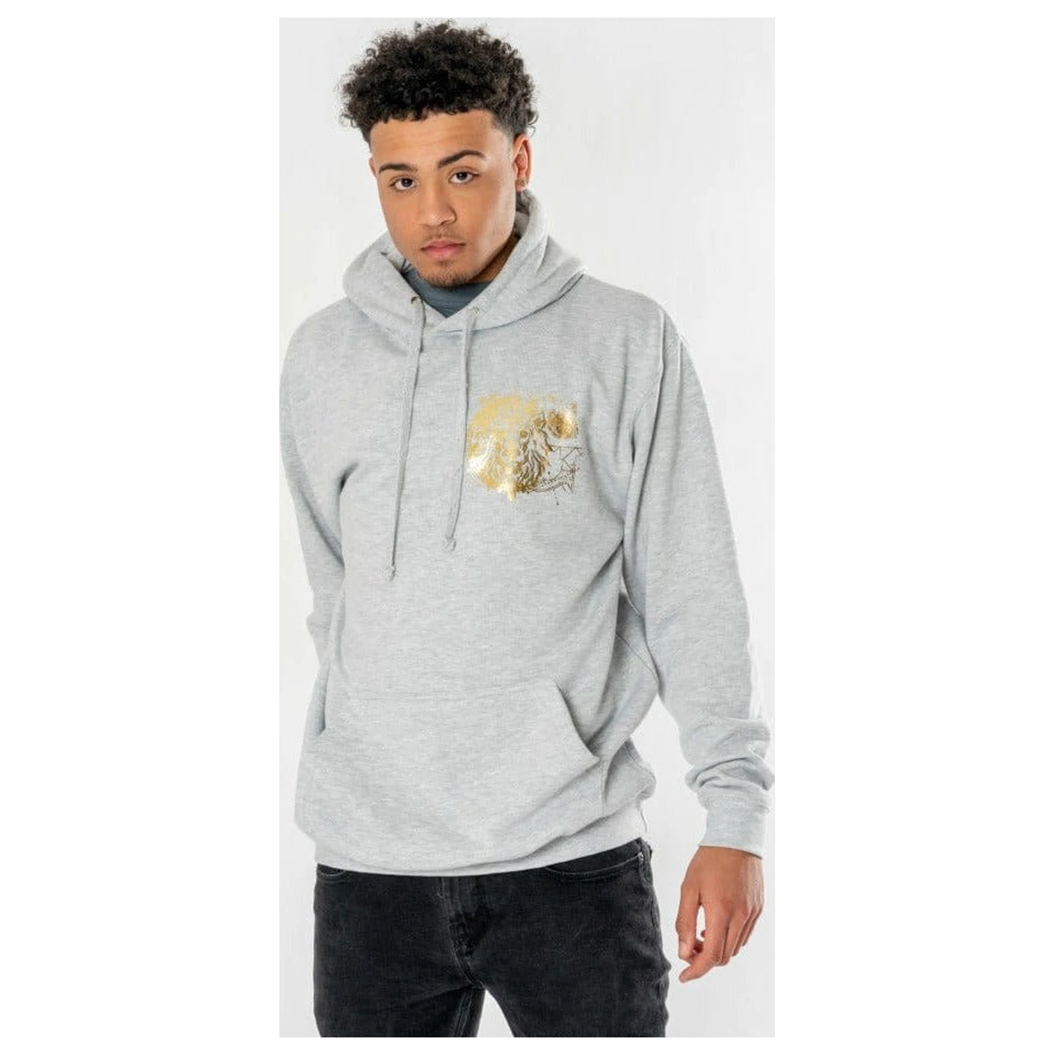 Harry Potter Hooded Sweater Gryffindor Zodiac zdjęcie produktu