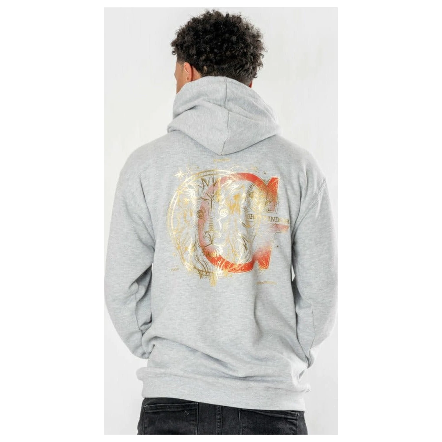 Harry Potter Hooded Sweater Gryffindor Zodiac zdjęcie produktu