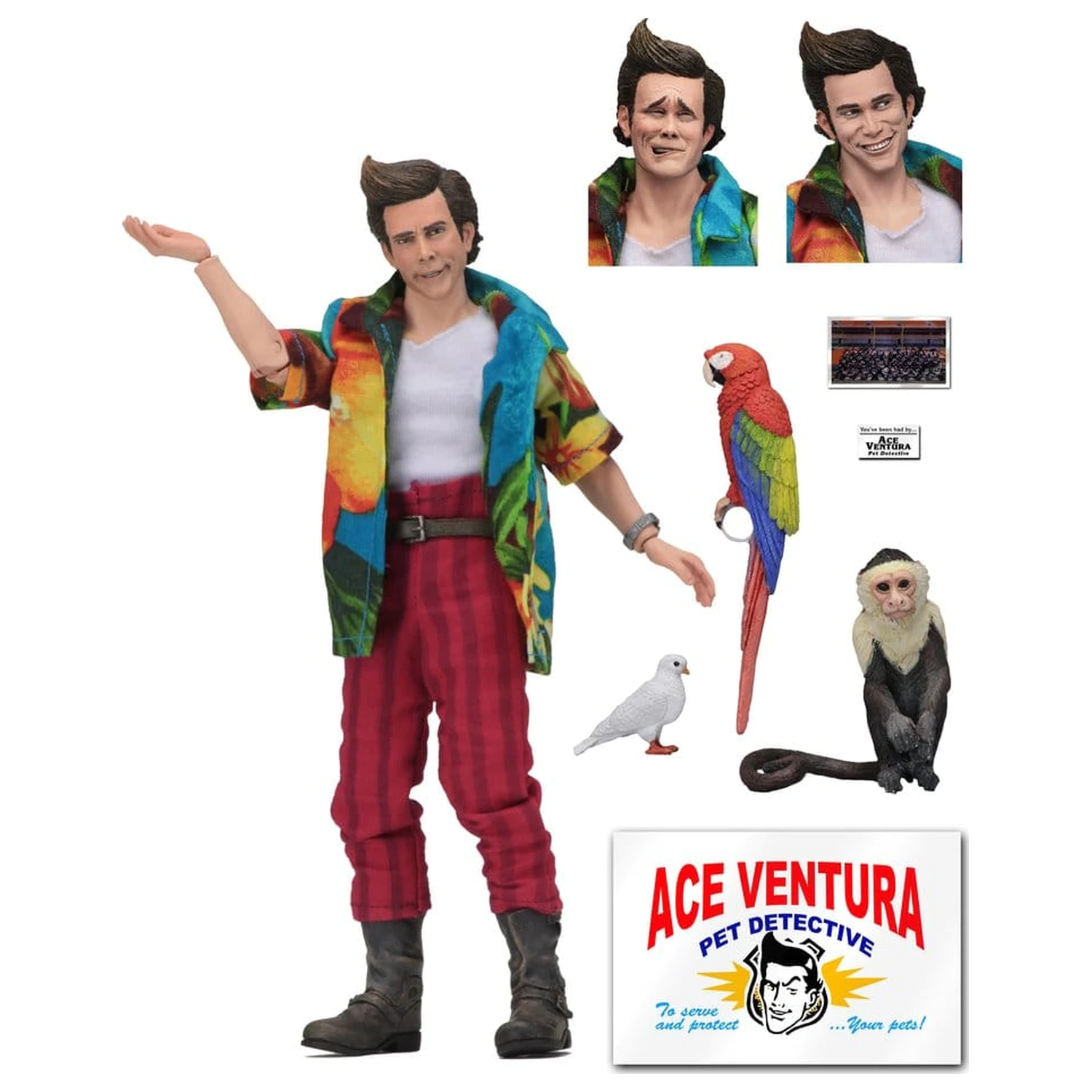 Ace Ventura Clothed Figurka Akcji Ace Ventura 20 cm zdjęcie produktu