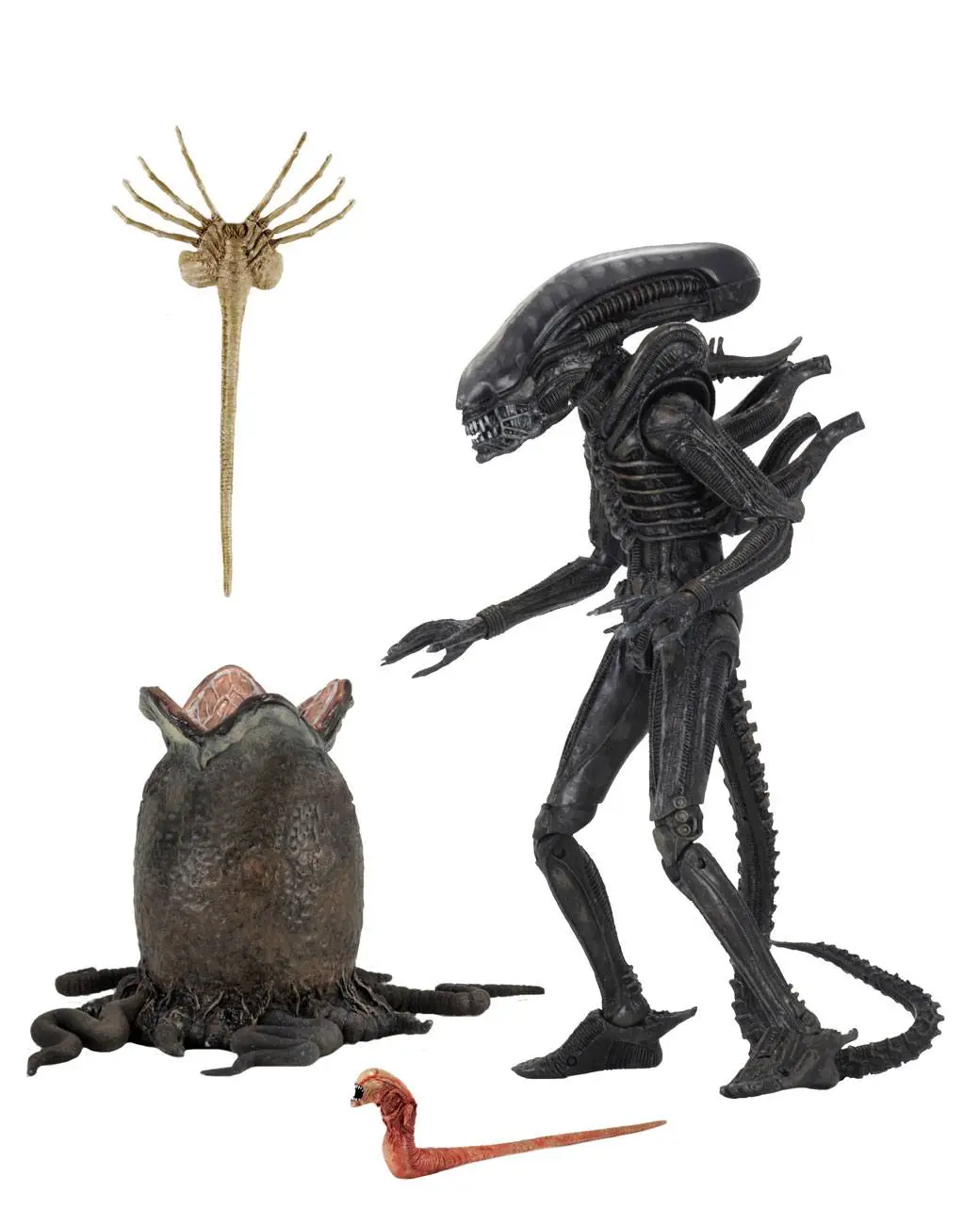 Alien 1979 Figurka akcji Ultimate 40th Anniversary Big Chap 23 cm zdjęcie produktu