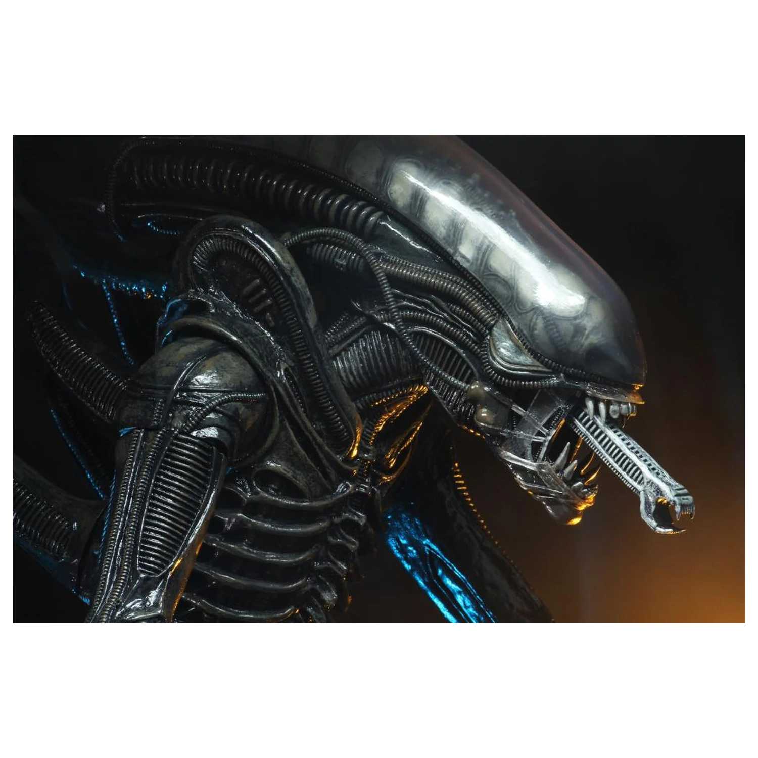 Figurka Alien Big Chap 1/4 55 cm zdjęcie produktu