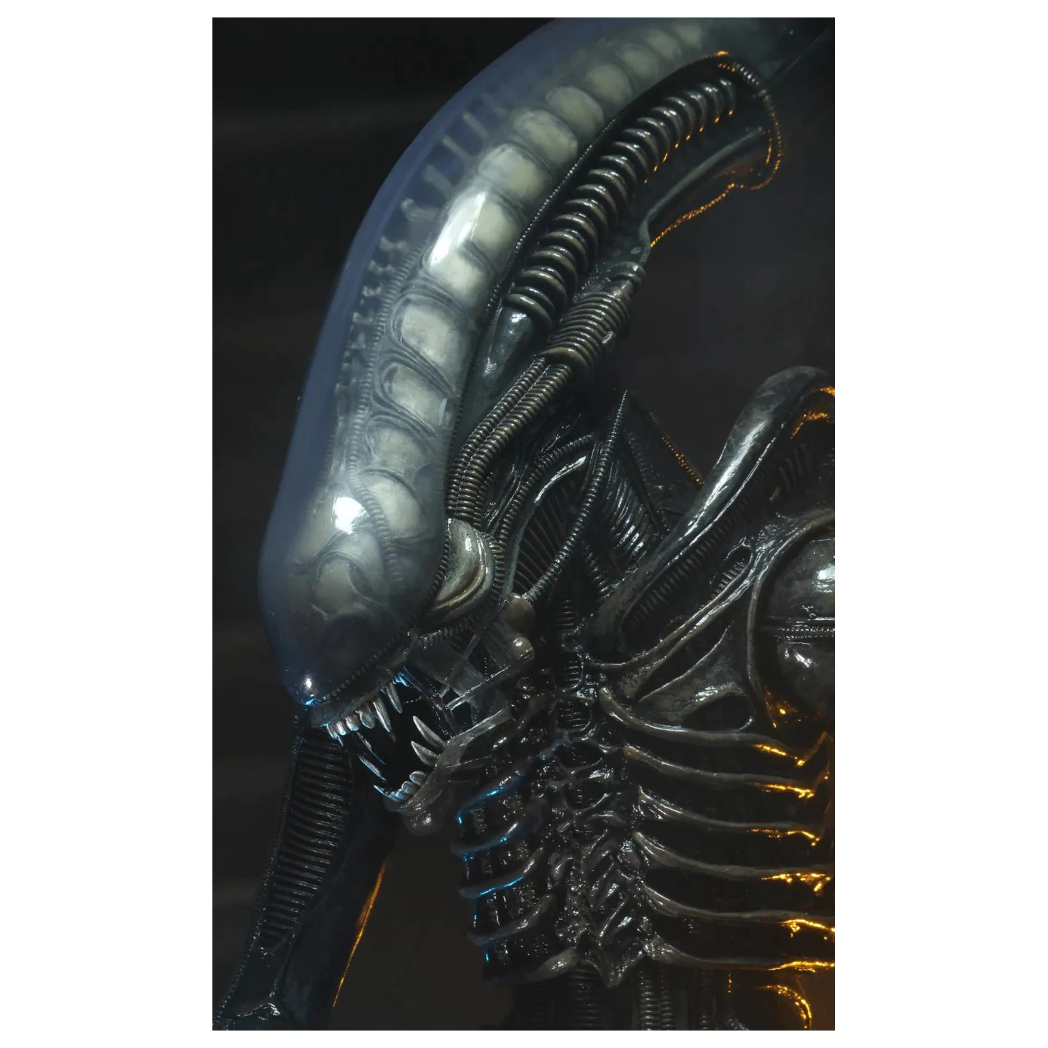 Figurka Alien Big Chap 1/4 55 cm zdjęcie produktu