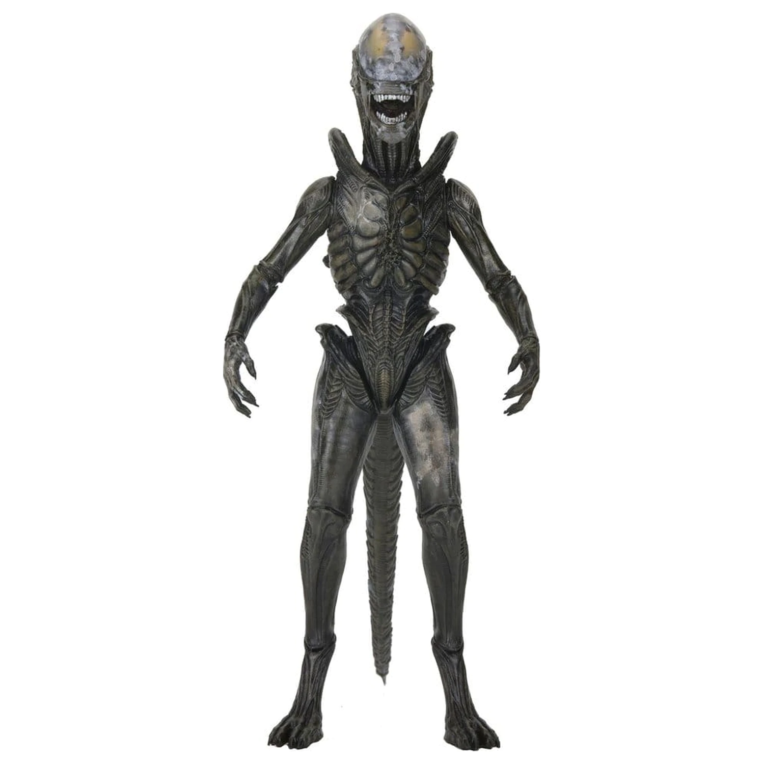 Alien: Earth Ultimate Action Figure Wendy's Xenomorph 18 cm zdjęcie produktu