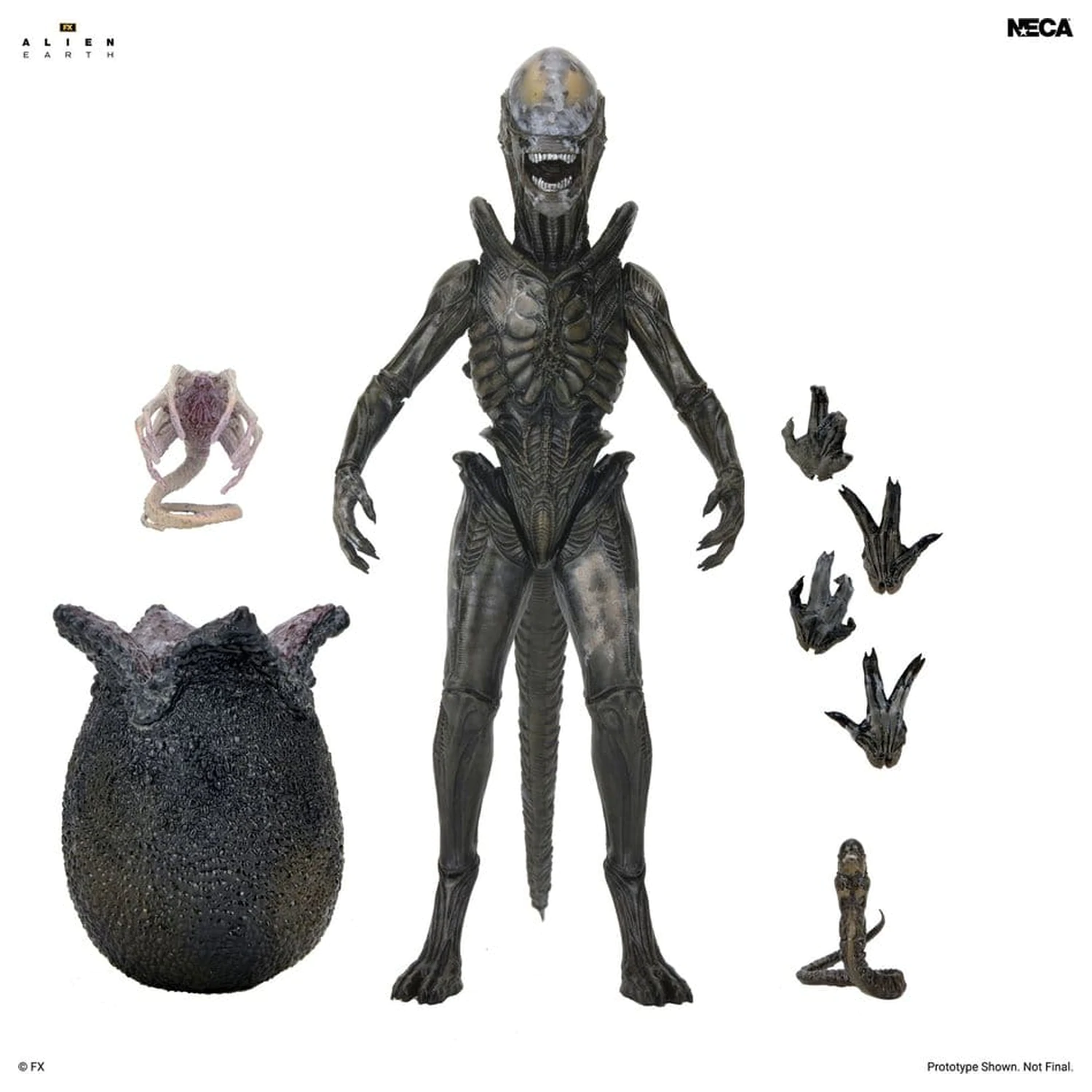 Alien: Earth Ultimate Action Figure Wendy's Xenomorph 18 cm zdjęcie produktu