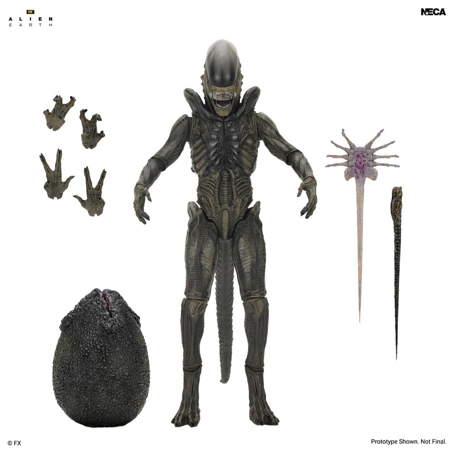 Alien: Earth Ultimate Action Figure Xenomorph 18 cm zdjęcie produktu