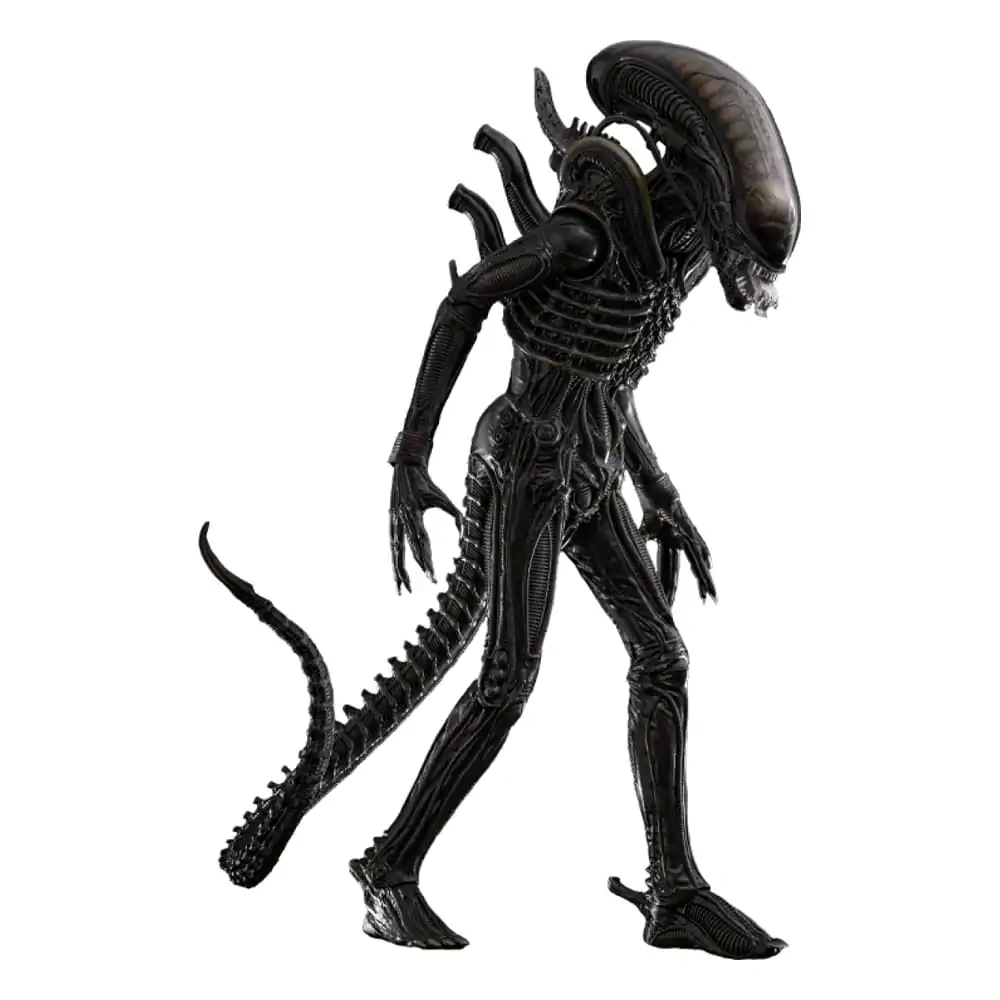 Alien Movie Masterpiece Figurka Akcji 1/6 Big Chap 36 cm zdjęcie produktu