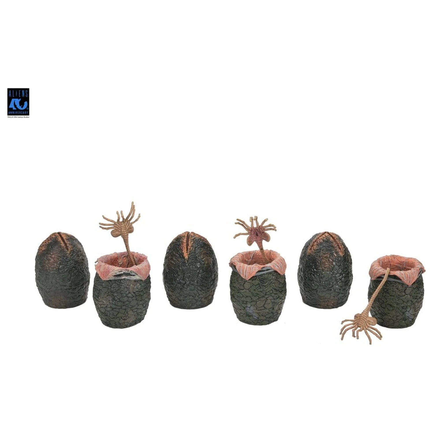 Aliens 6-pak Akcesoria Zestaw karton Alien Eggs (40th Anniversary) zdjęcie produktu