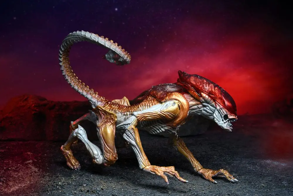 Figurka Akcji Obcy Panther Alien (Hołd dla Kennera) 23 cm zdjęcie produktu