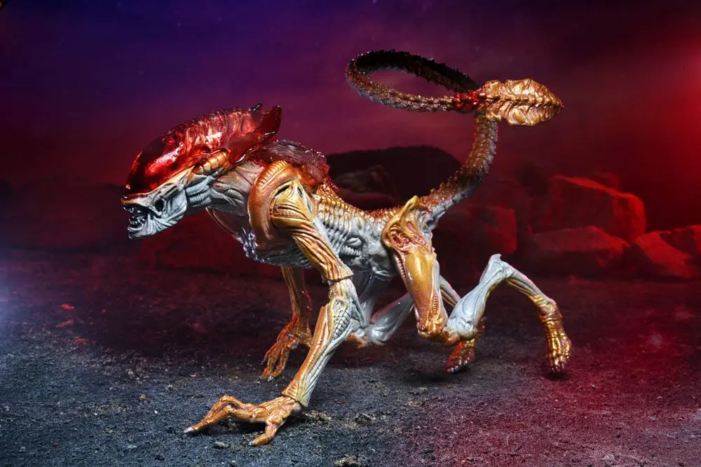 Figurka Akcji Obcy Panther Alien (Hołd dla Kennera) 23 cm zdjęcie produktu