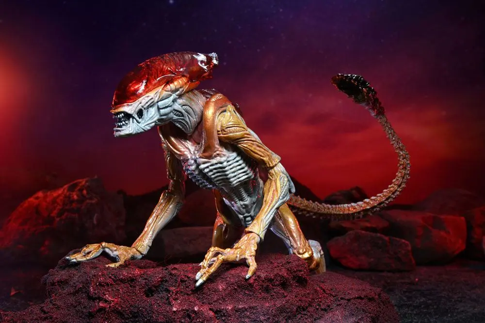 Figurka Akcji Obcy Panther Alien (Hołd dla Kennera) 23 cm zdjęcie produktu