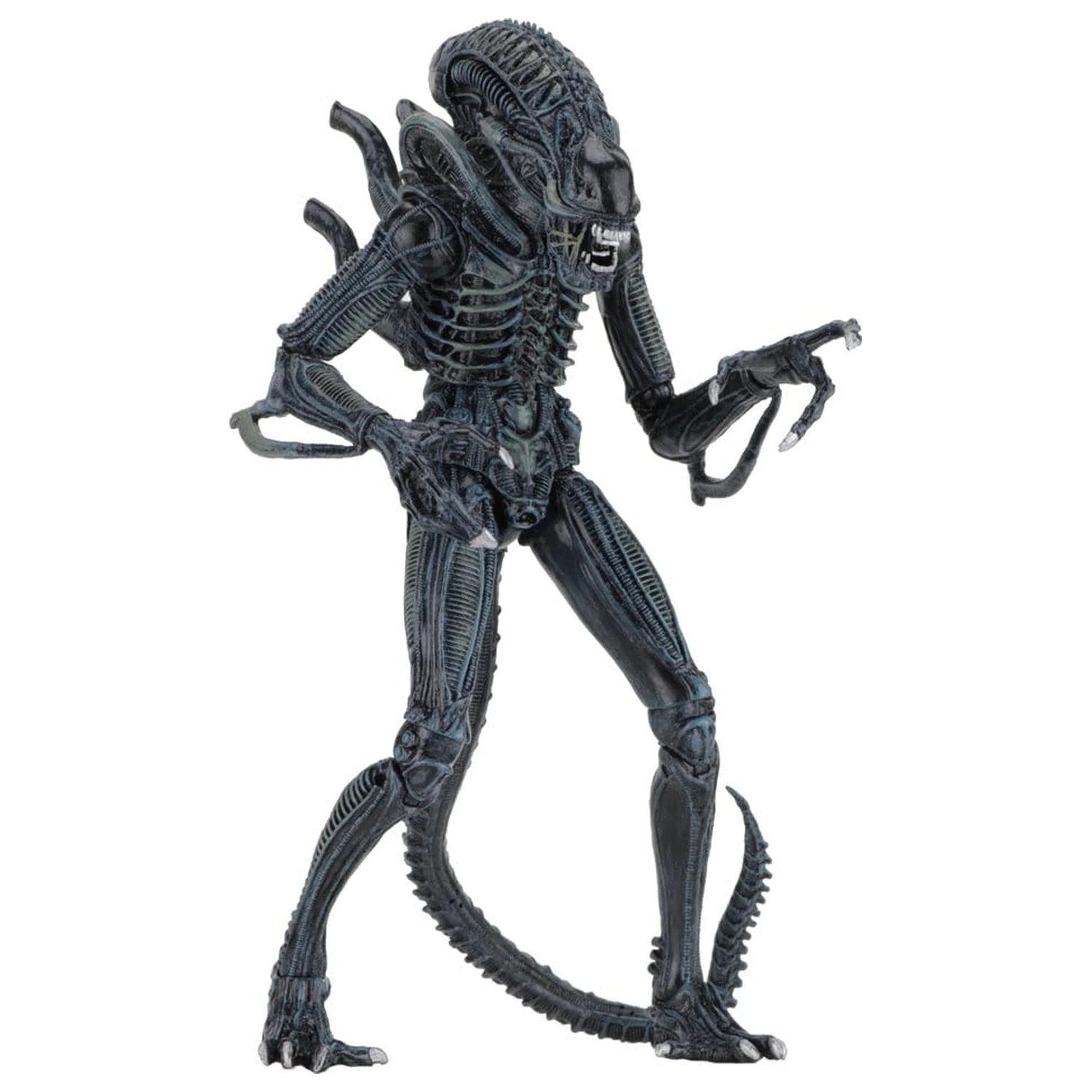 Aliens Ultimate Action Figure Warrior (1986) Niebieski 23 cm zdjęcie produktu