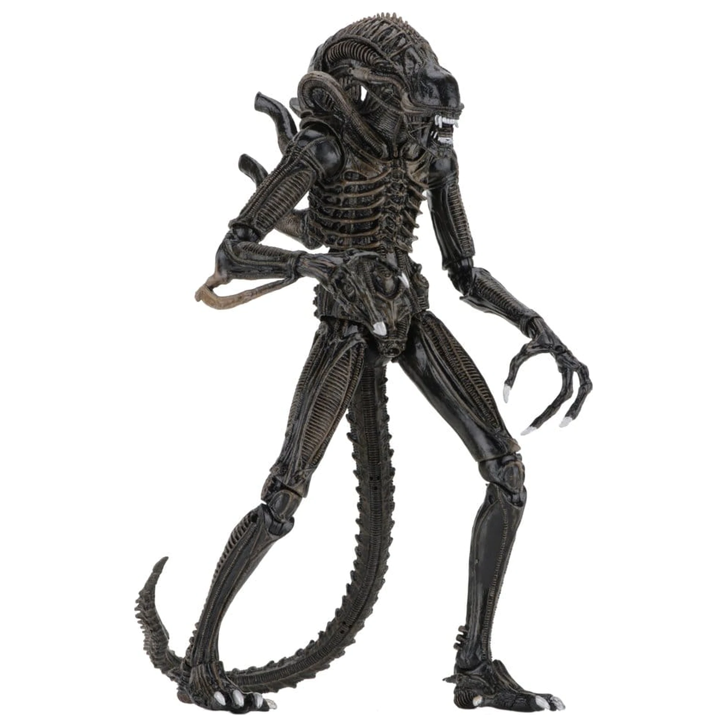Aliens Ultimate Action Figure Warrior (1986) Brązowy 23 cm zdjęcie produktu
