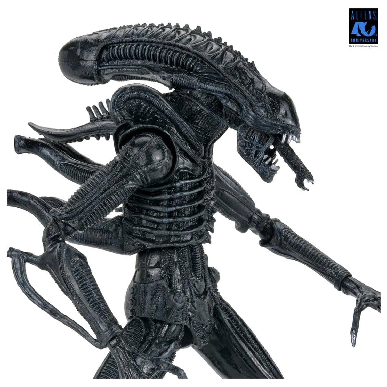 Aliens Ultimate Figurka akcji Warrior (1986) Xenomorph Black (40th Anniversary) 23 cm zdjęcie produktu