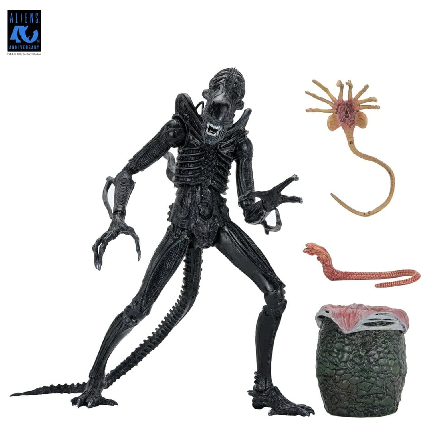 Aliens Ultimate Figurka akcji Warrior (1986) Xenomorph Black (40th Anniversary) 23 cm zdjęcie produktu
