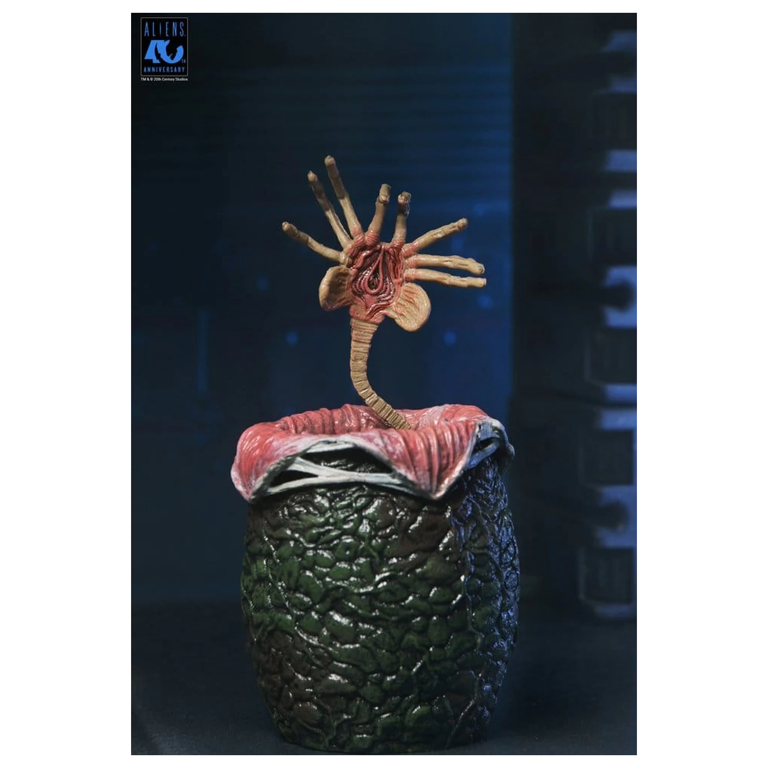 Aliens Ultimate Figurka akcji Warrior (1986) Xenomorph Black (40th Anniversary) 23 cm zdjęcie produktu