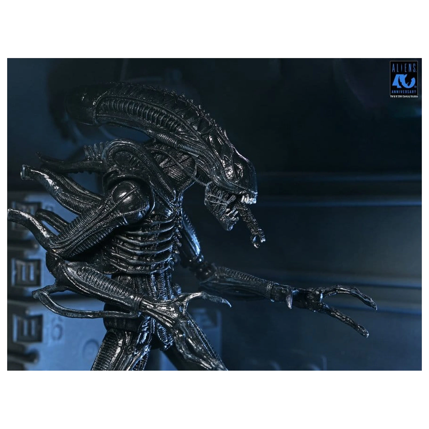 Aliens Ultimate Figurka akcji Warrior (1986) Xenomorph Black (40th Anniversary) 23 cm zdjęcie produktu