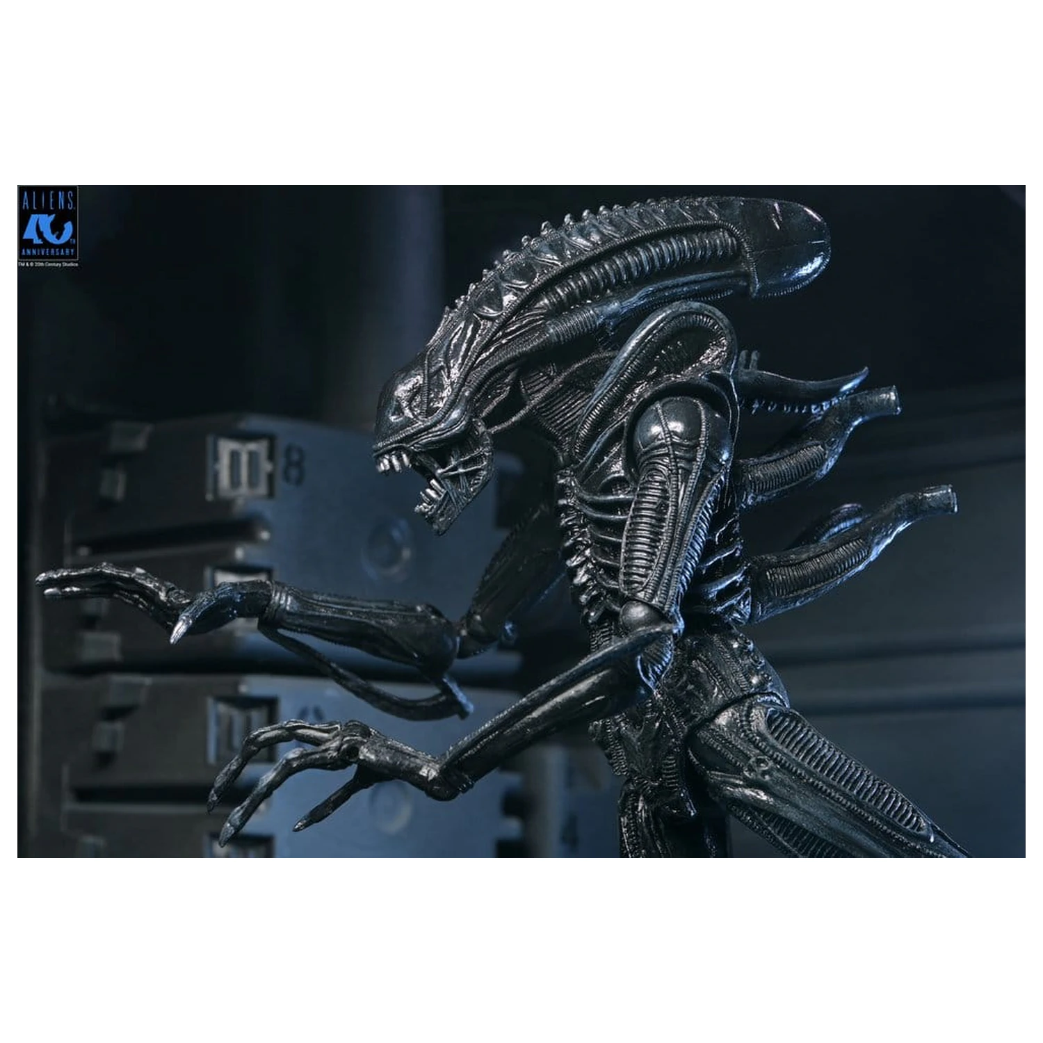 Aliens Ultimate Figurka akcji Warrior (1986) Xenomorph Black (40th Anniversary) 23 cm zdjęcie produktu
