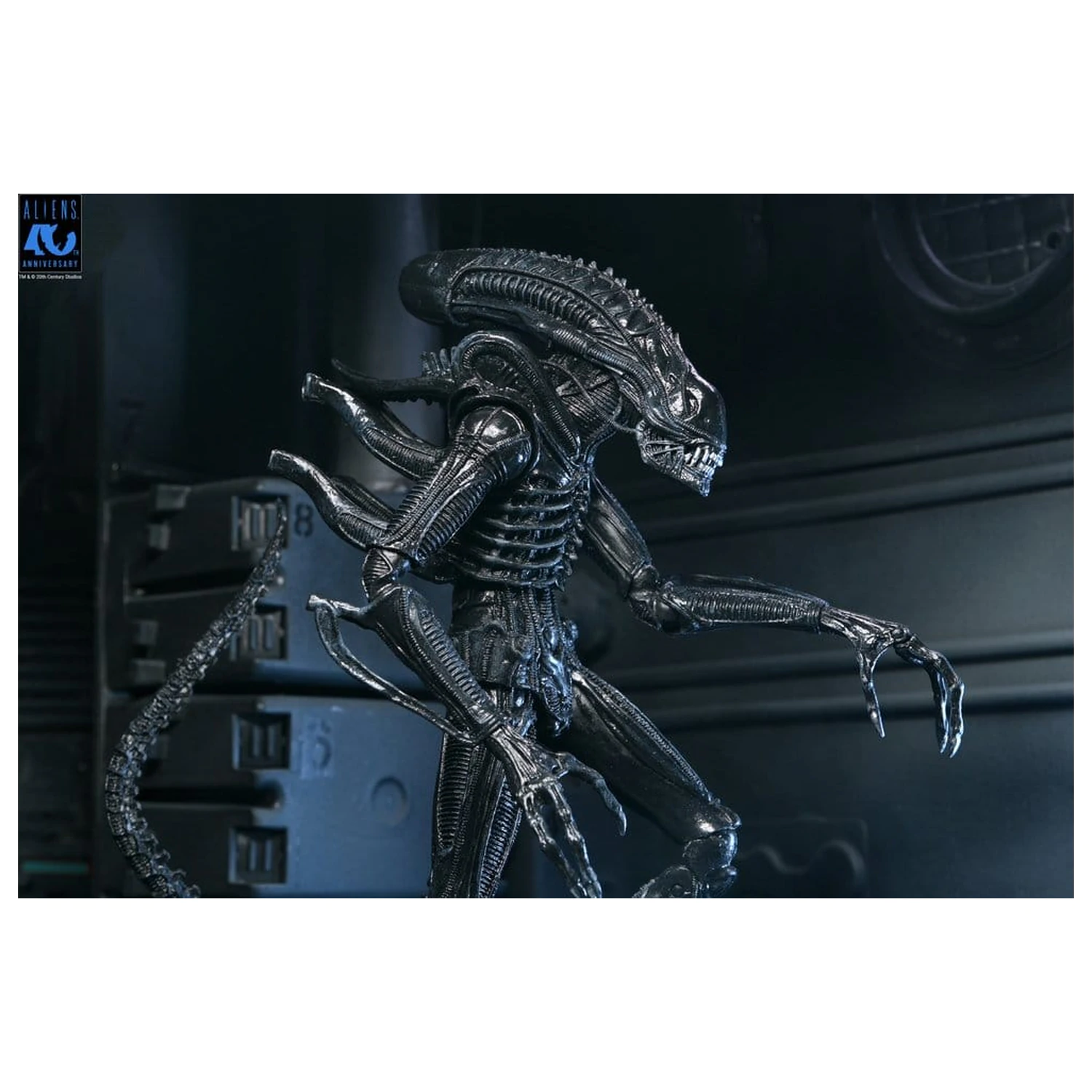 Aliens Ultimate Figurka akcji Warrior (1986) Xenomorph Black (40th Anniversary) 23 cm zdjęcie produktu