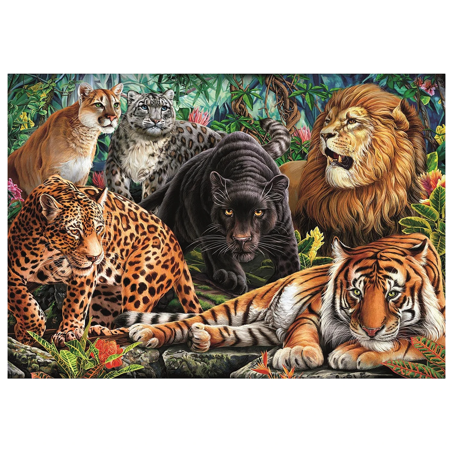 Animal Wild Cats 500-elementowe puzzle zdjęcie produktu