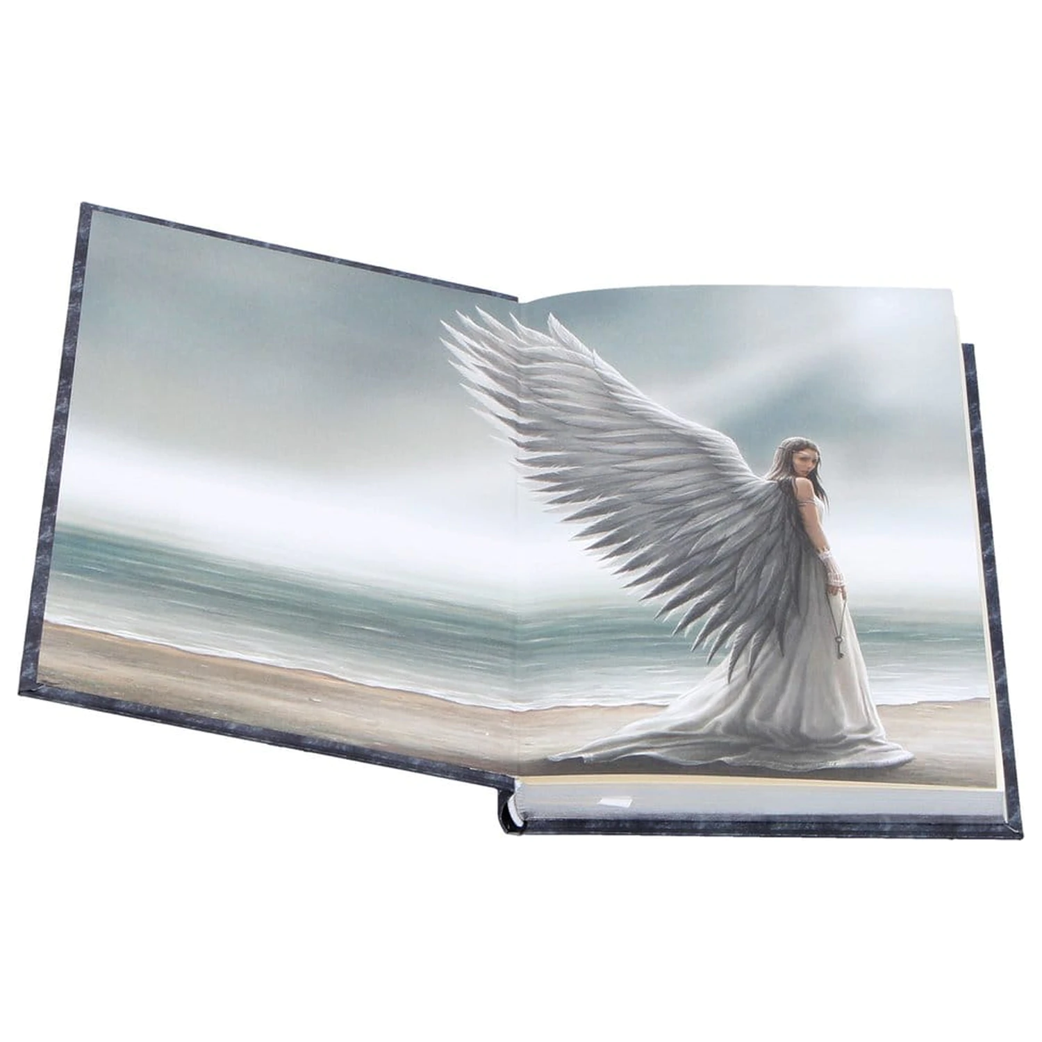 Anne Stokes Journal Spirit Guide A5 zdjęcie produktu