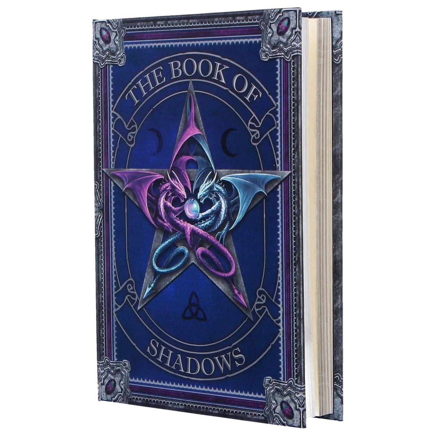 Anne Stokes Journal The Book of Shadows A5 zdjęcie produktu
