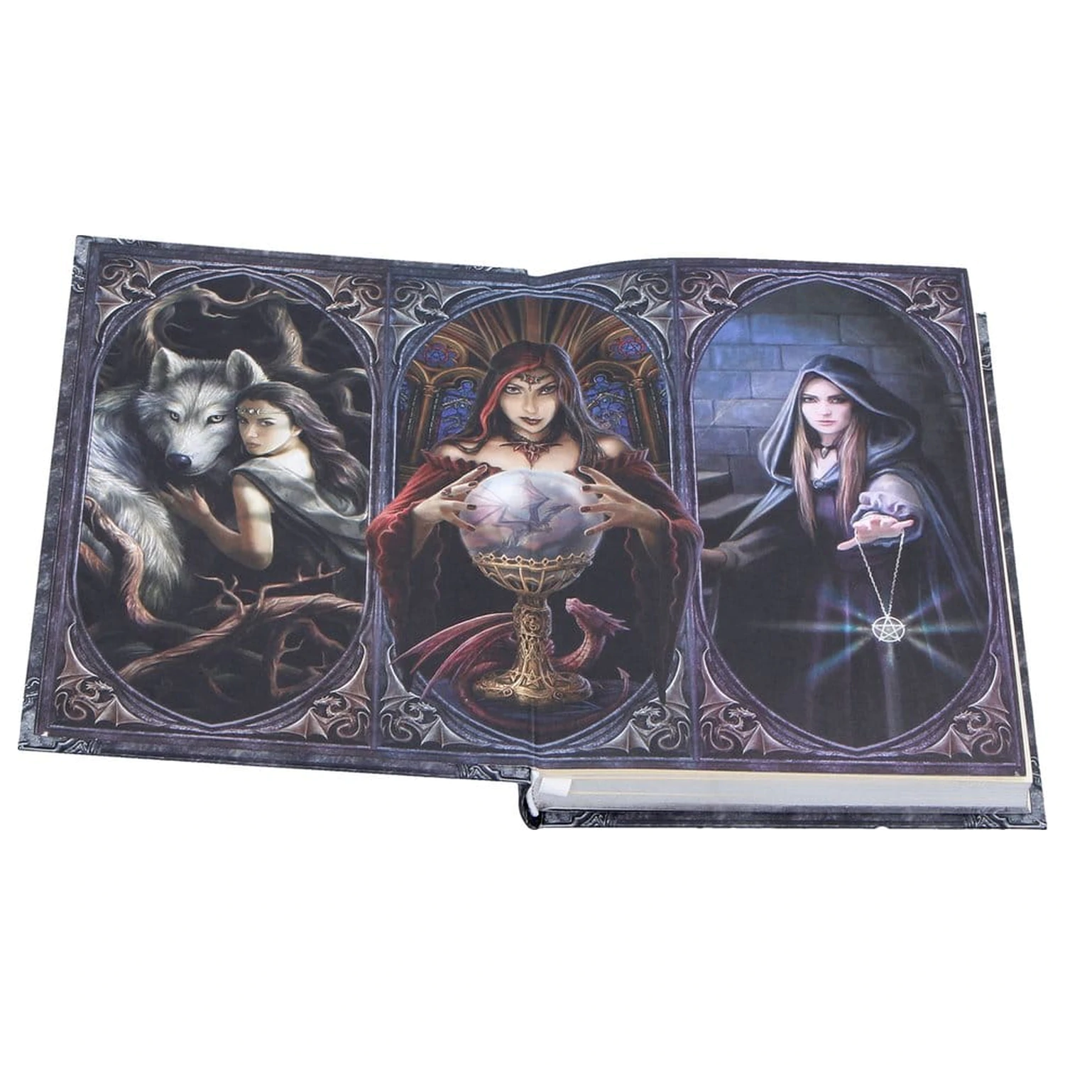 Anne Stokes Journal The Book of Shadows A5 zdjęcie produktu