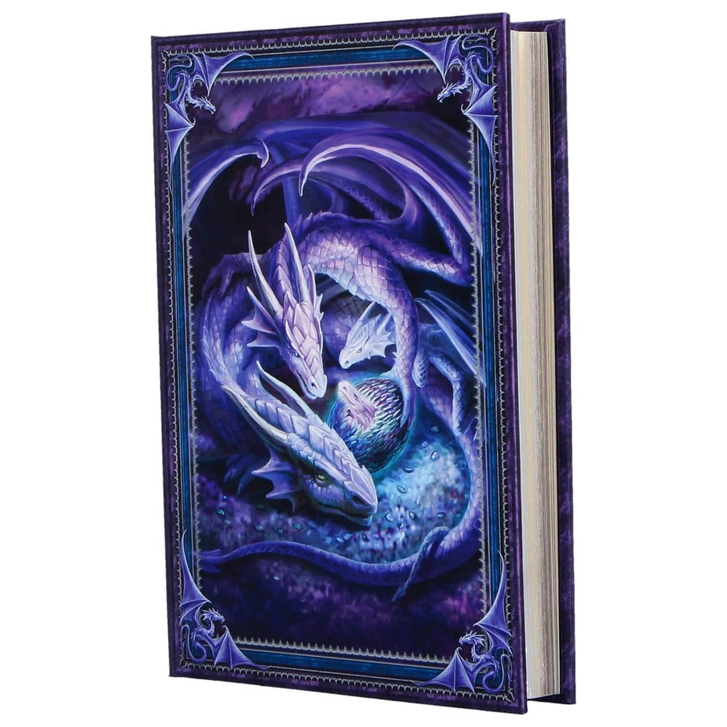 Anne Stokes Notes Welcome Hatchling A5 zdjęcie produktu
