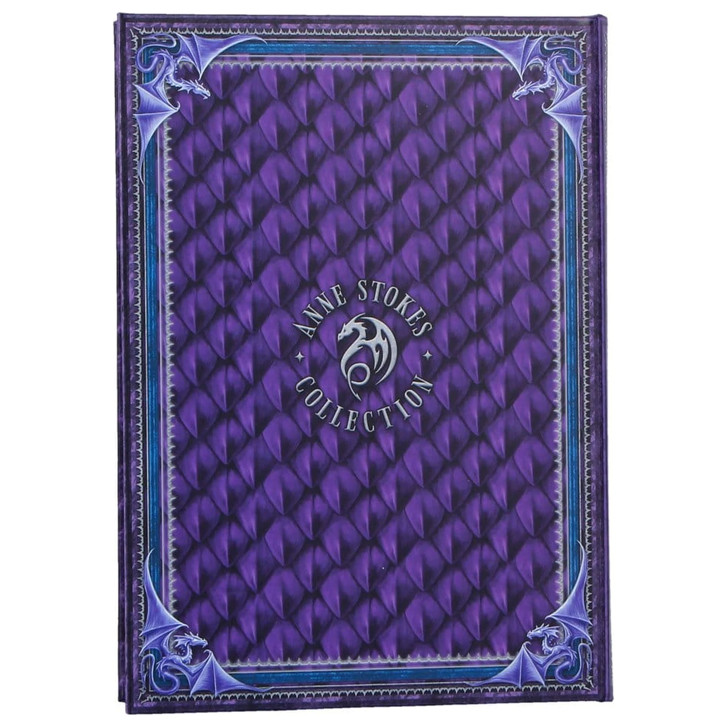 Anne Stokes Notes Welcome Hatchling A5 zdjęcie produktu