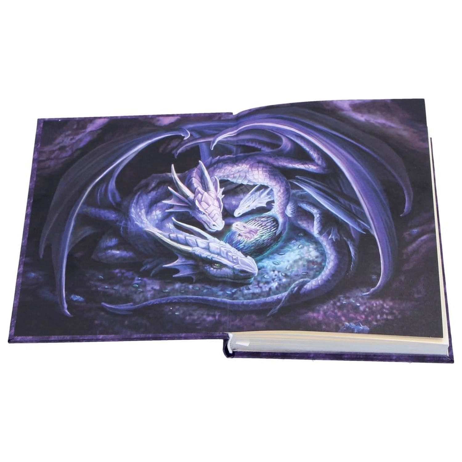 Anne Stokes Notes Welcome Hatchling A5 zdjęcie produktu
