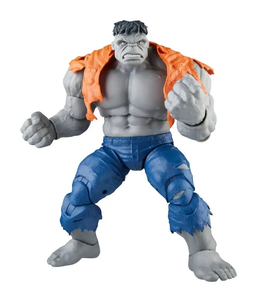 Avengers Marvel Legends Figurki Akcji Szary Hulk & Dr Bruce Banner 15 cm zdjęcie produktu