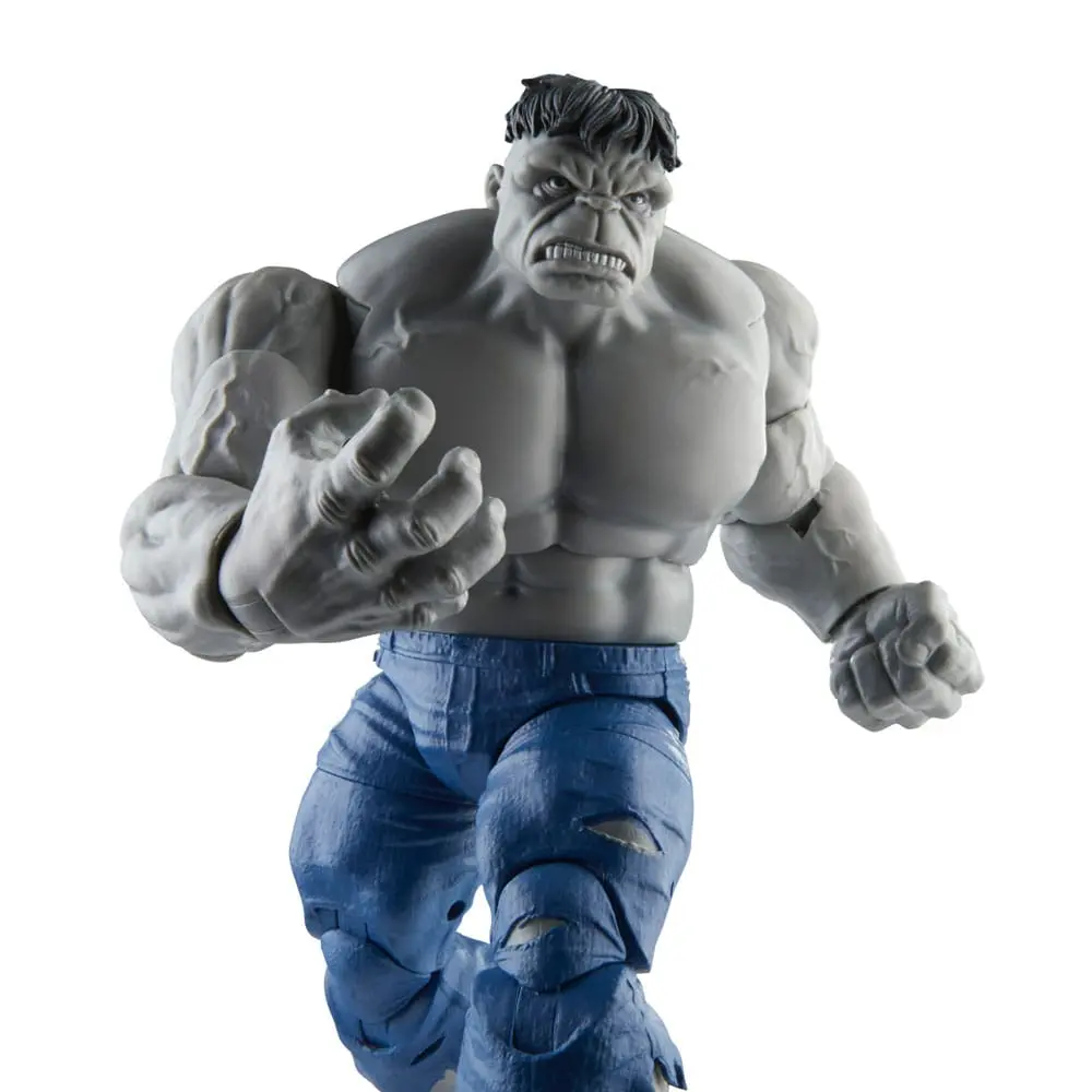 Avengers Marvel Legends Figurki Akcji Szary Hulk & Dr Bruce Banner 15 cm zdjęcie produktu