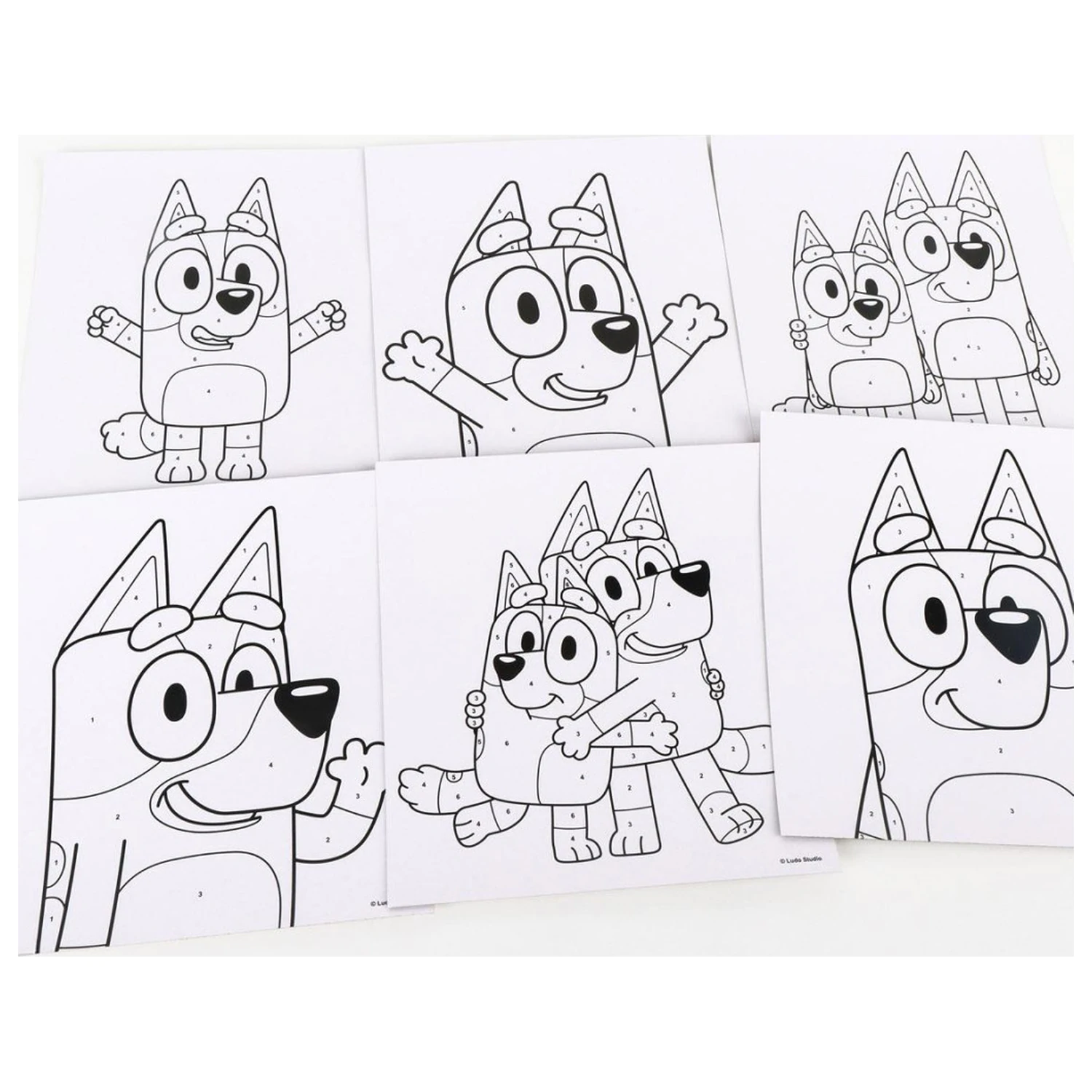 Bluey Zestaw do Kolorowania To Wave zdjęcie produktu