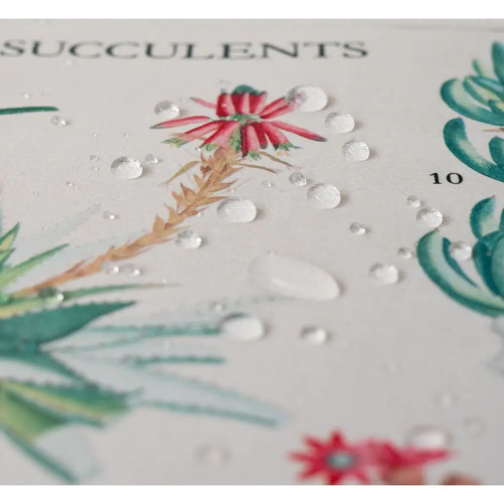 Podkładka na biurko gamingowa Botanical Cacti zdjęcie produktu