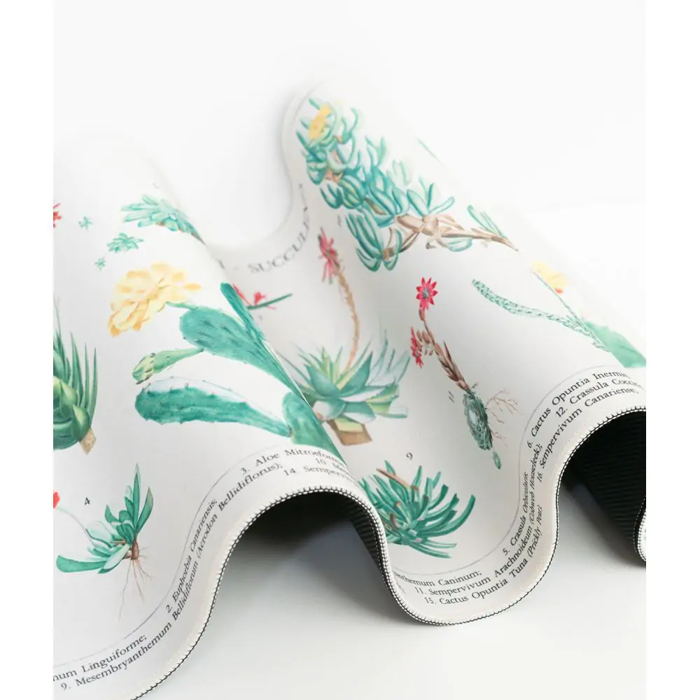 Podkładka na biurko gamingowa Botanical Cacti zdjęcie produktu