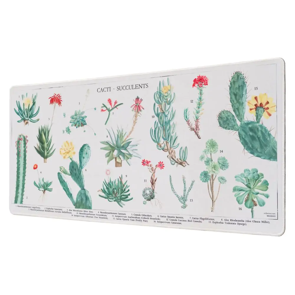 Podkładka na biurko gamingowa Botanical Cacti zdjęcie produktu