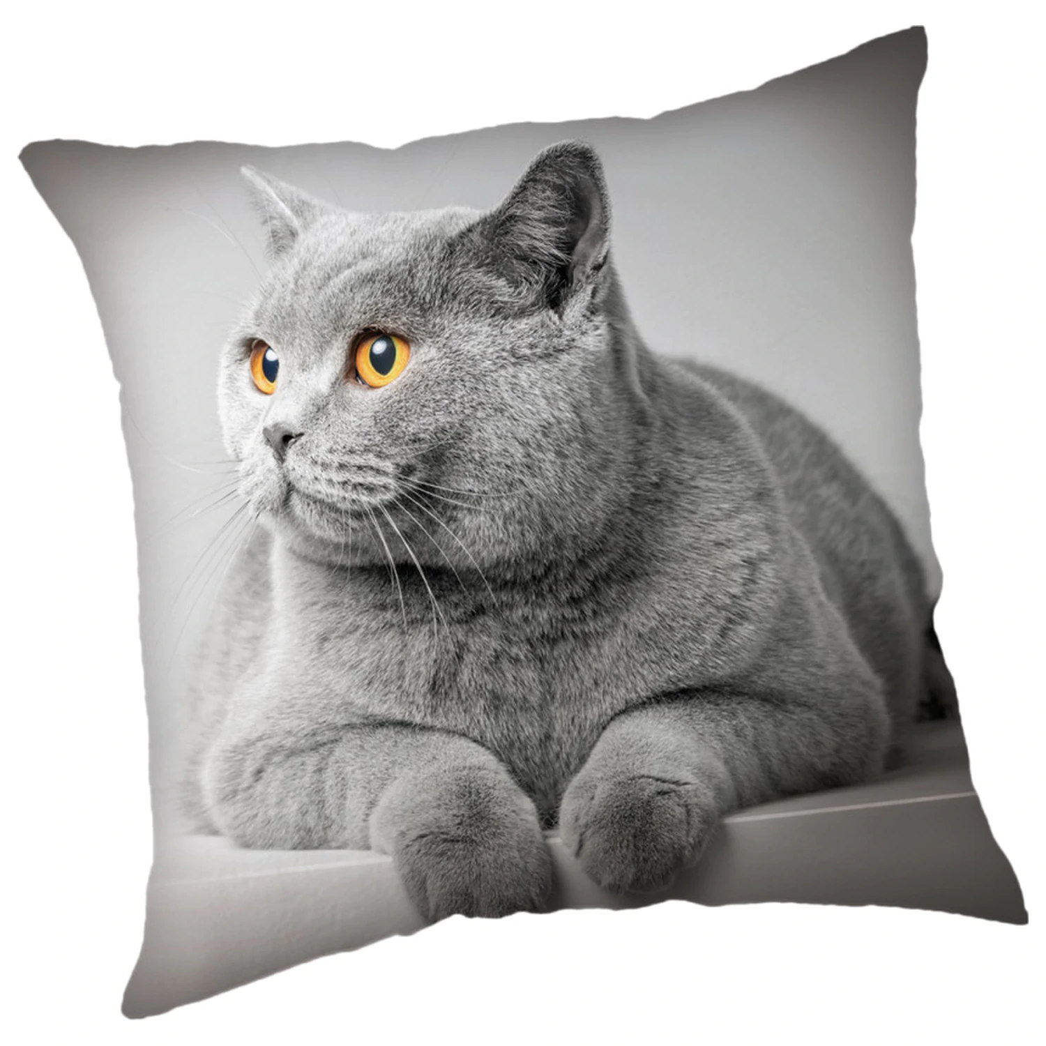 Poszewka na poduszkę Cats Grey zdjęcie produktu