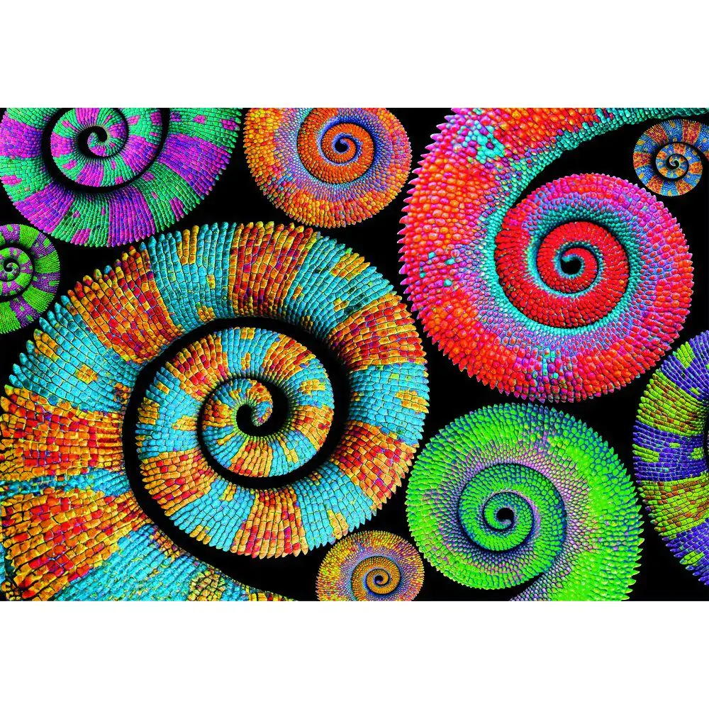 Puzzle Color Boom Curly Tails 500 elementów zdjęcie produktu