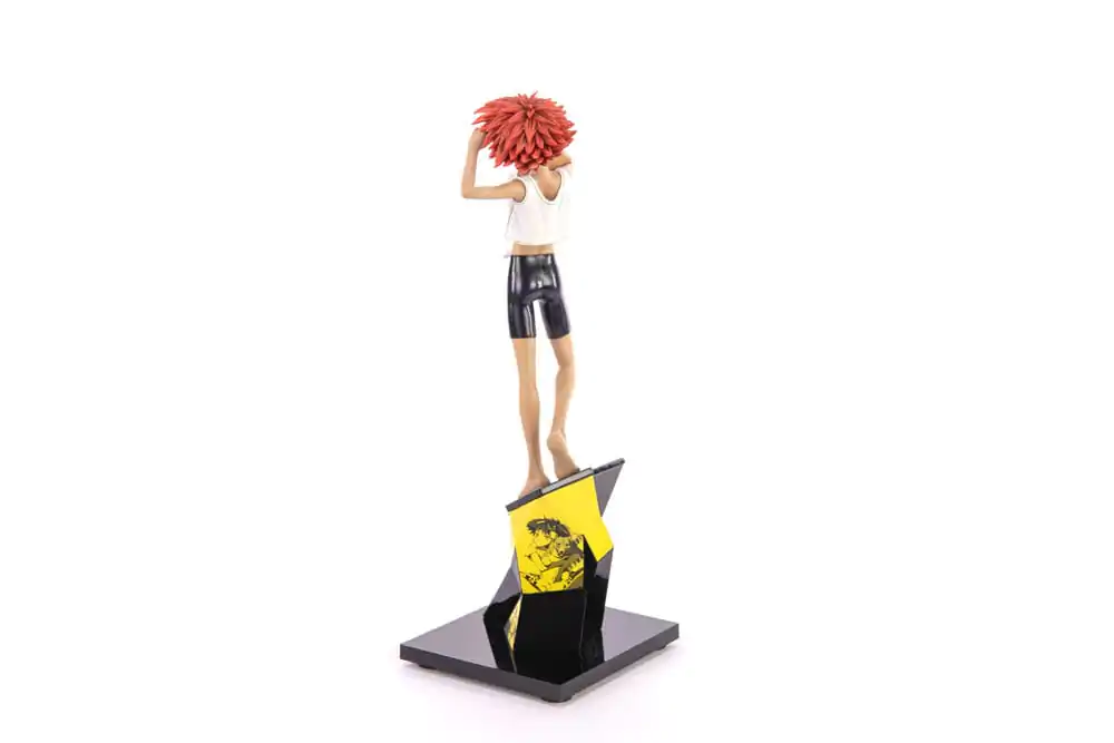 Cowboy Bebop Statua 1/8 Ed & Ein 28 cm zdjęcie produktu