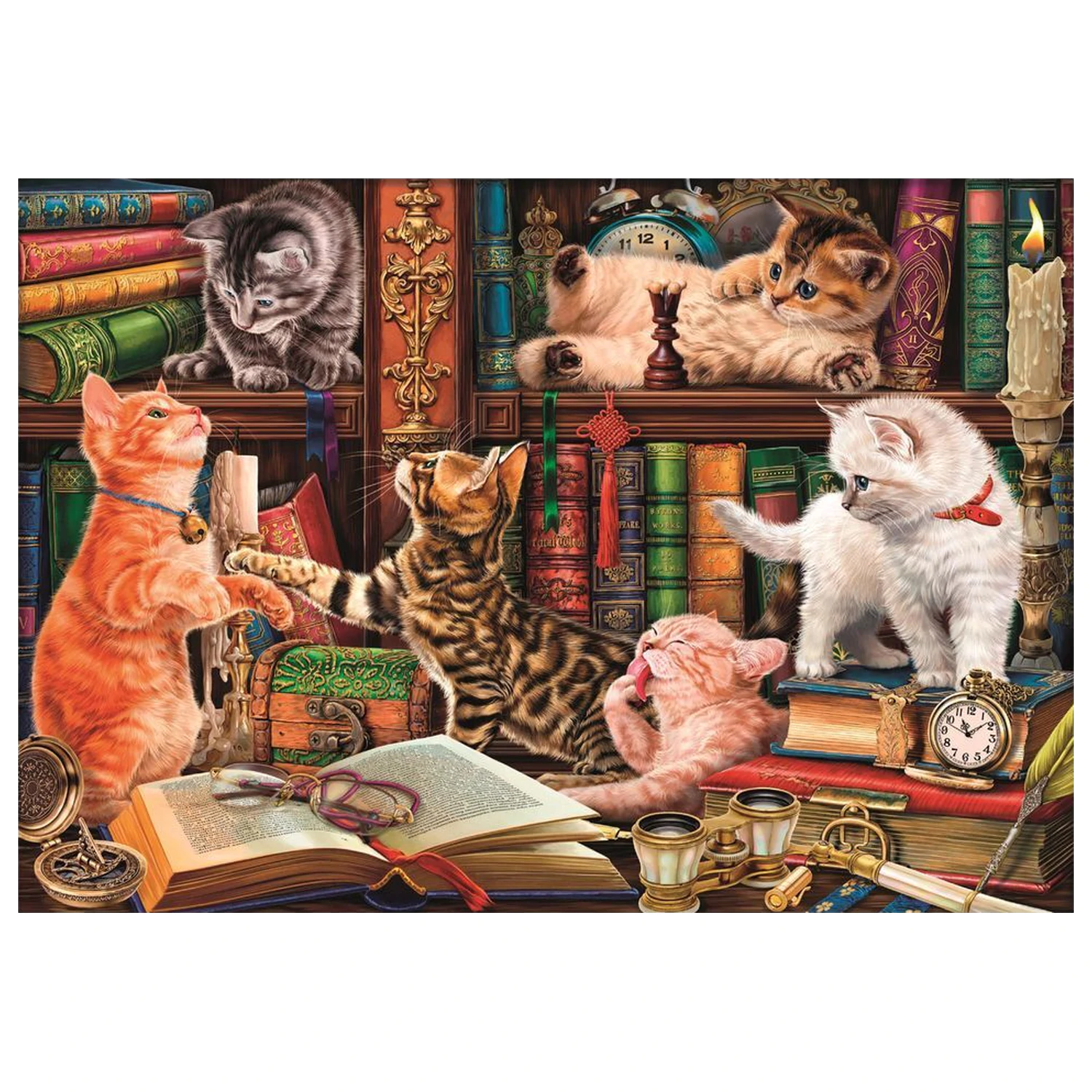Curious Whiskers puzzle 1000 sztuk zdjęcie produktu