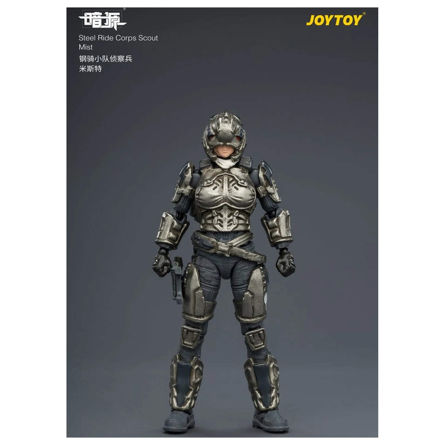 Dark Source Steel Ride Corps figurka akcji Scout Mist 8 cm zdjęcie produktu