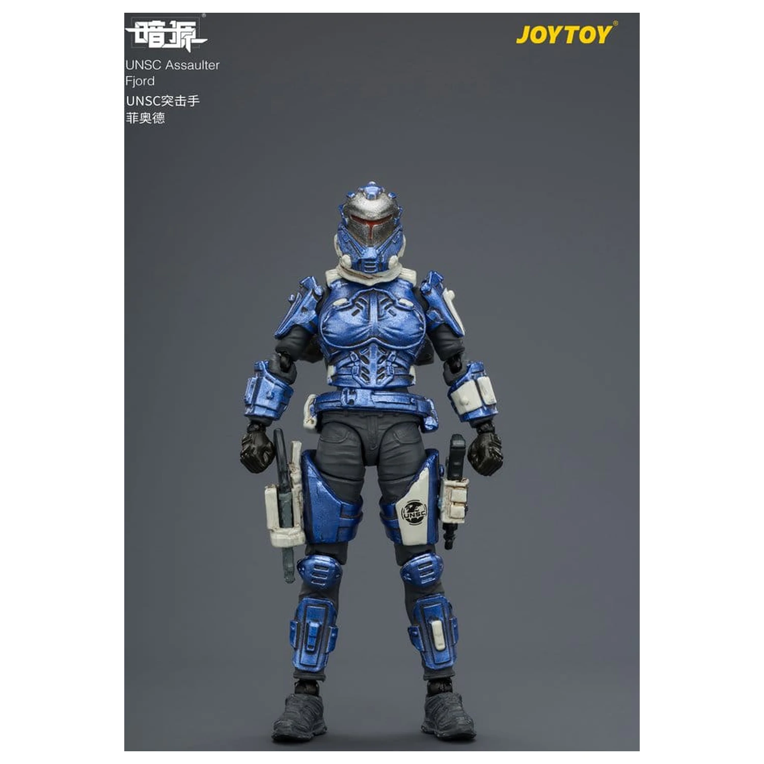 Dark Source UNSC Figurka Akcji Assaulter Fjord 8 cm zdjęcie produktu