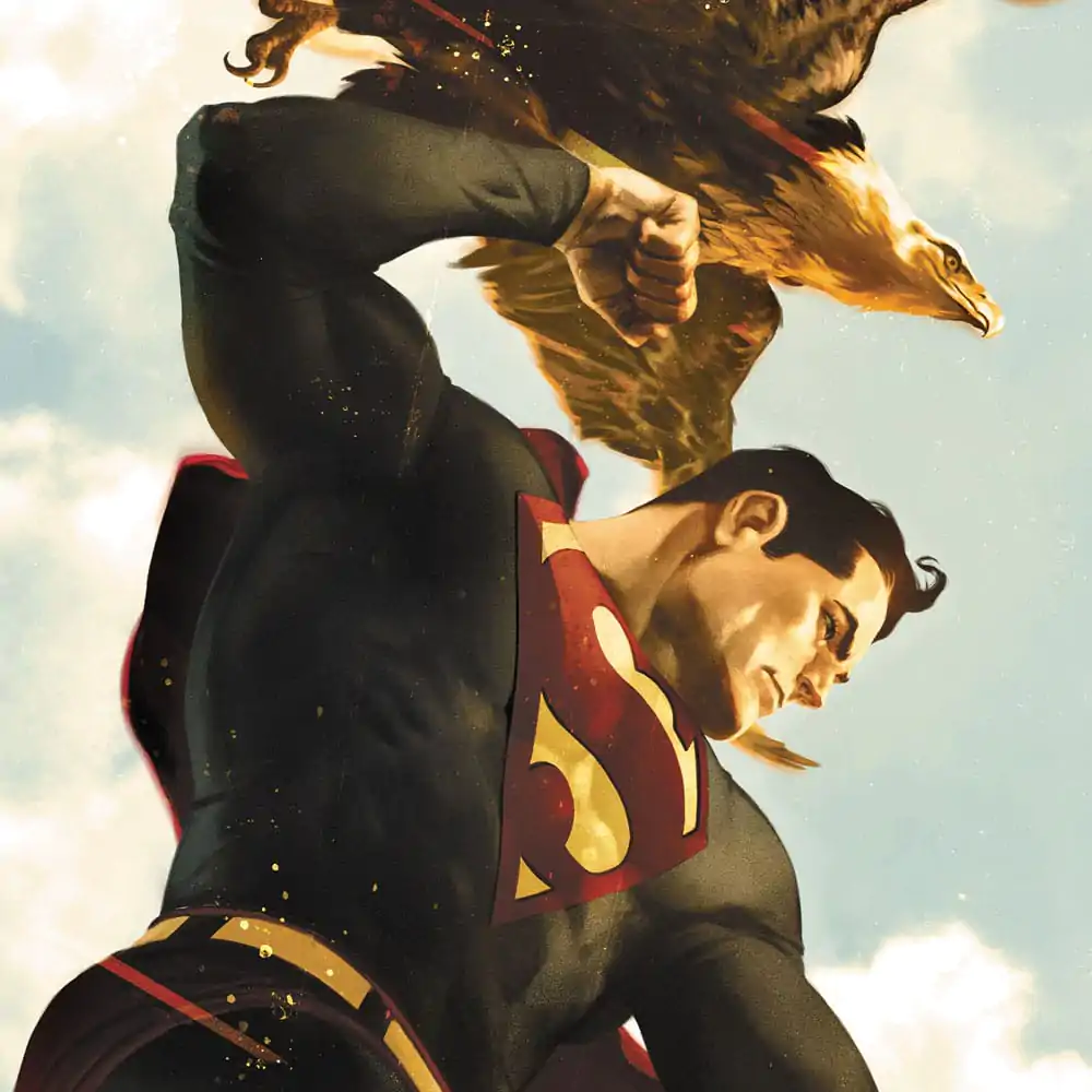 DC Comics Art Print Superman 61 x 41 cm - bez ramki zdjęcie produktu