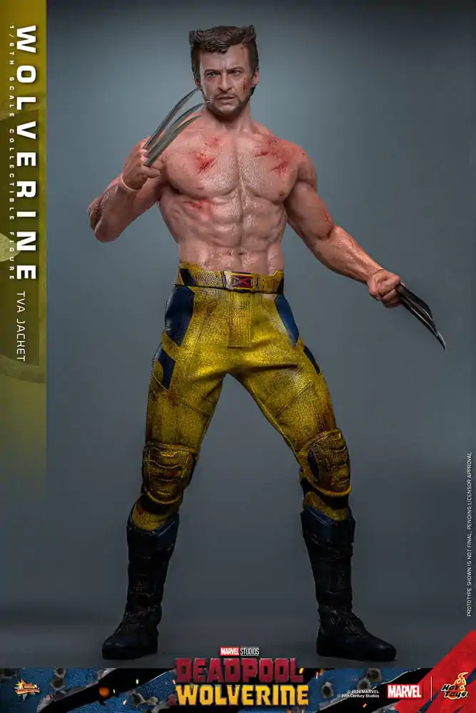 Deadpool & Wolverine Movie Masterpiece Figurka Akcji 1/6 Wolverine (TVA Jacket Version) 31 cm zdjęcie produktu