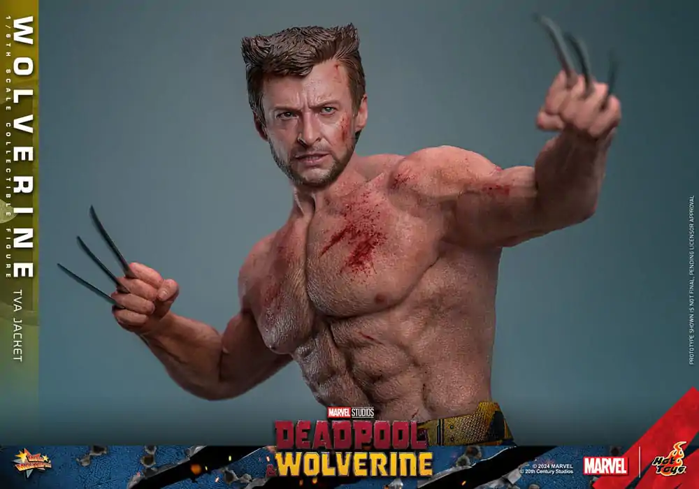 Deadpool & Wolverine Movie Masterpiece Figurka Akcji 1/6 Wolverine (TVA Jacket Version) 31 cm zdjęcie produktu