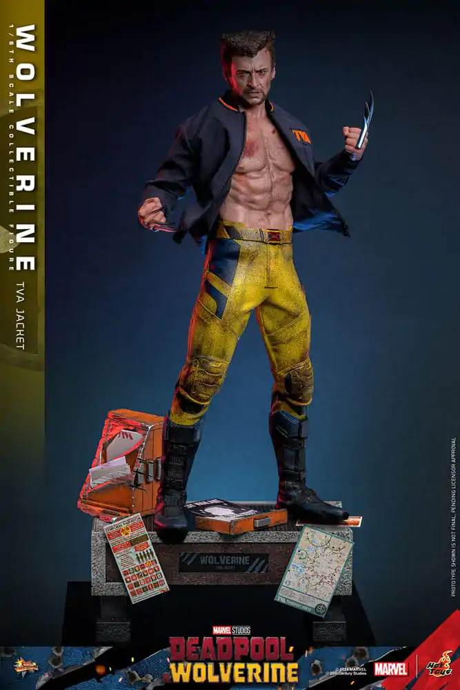 Deadpool & Wolverine Movie Masterpiece Figurka Akcji 1/6 Wolverine (TVA Jacket Version) 31 cm zdjęcie produktu