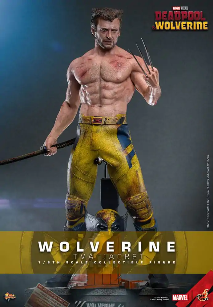 Deadpool & Wolverine Movie Masterpiece Figurka Akcji 1/6 Wolverine (TVA Jacket Version) 31 cm zdjęcie produktu